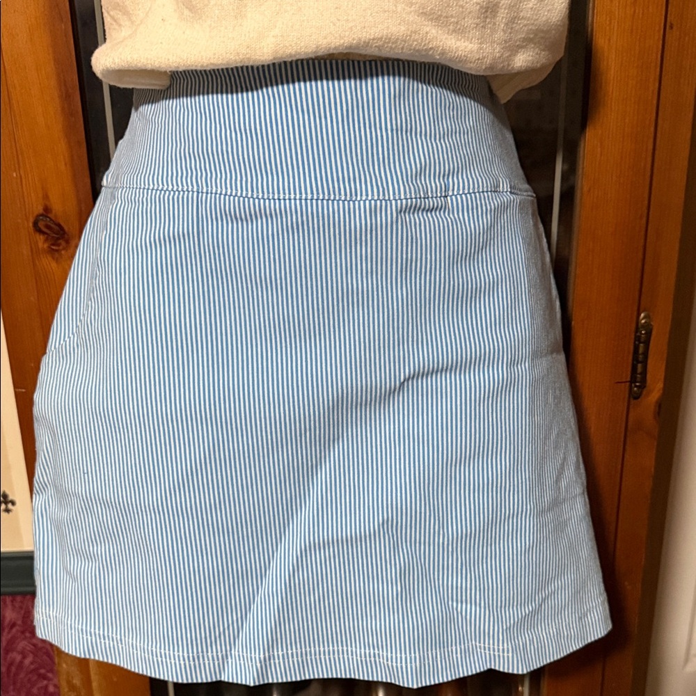 Blue Striped Women's Skort
